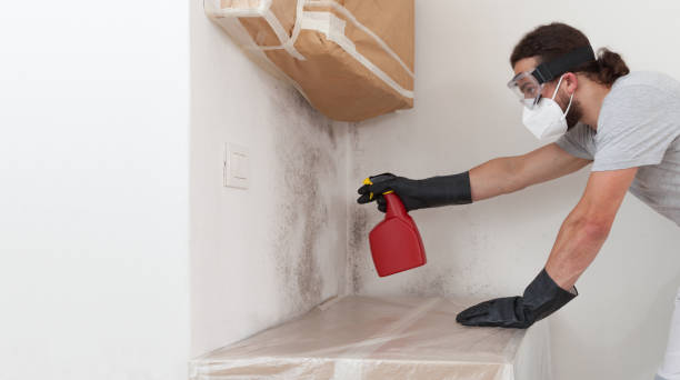 Professional Mold Remediation technician working in Hutto, TX